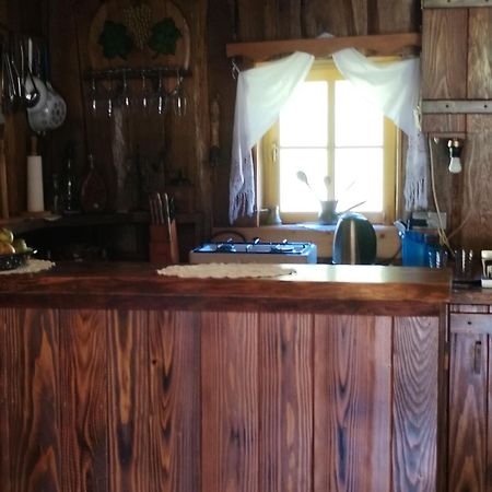 Vacation House Spiritus Flumine Netretic Zewnętrze zdjęcie