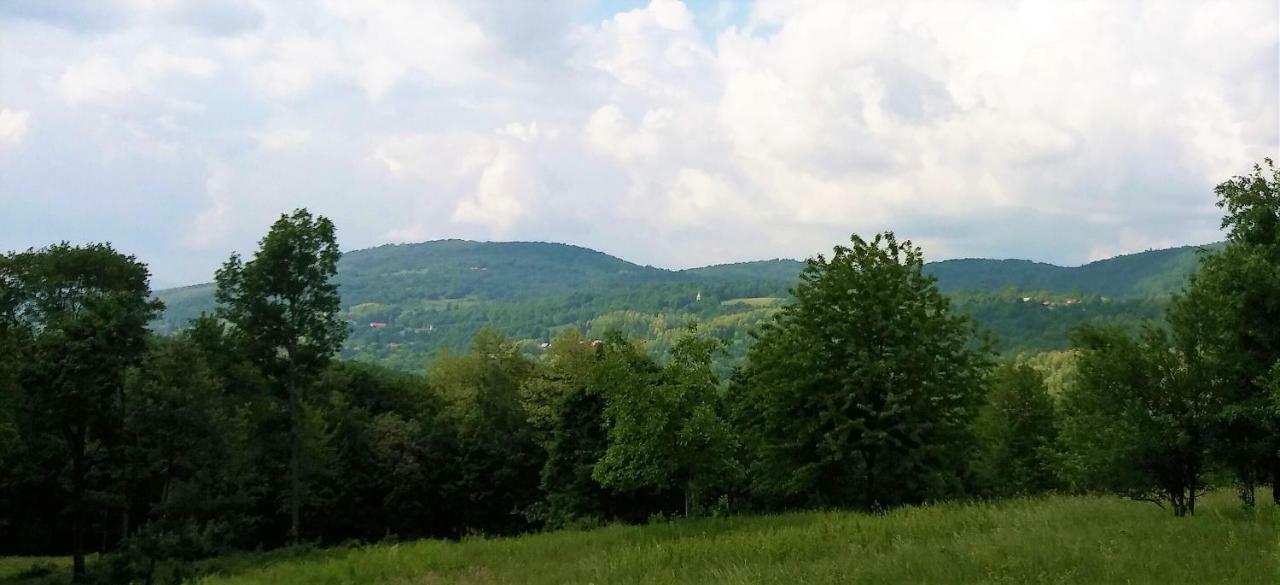 Vacation House Spiritus Flumine Netretic Zewnętrze zdjęcie